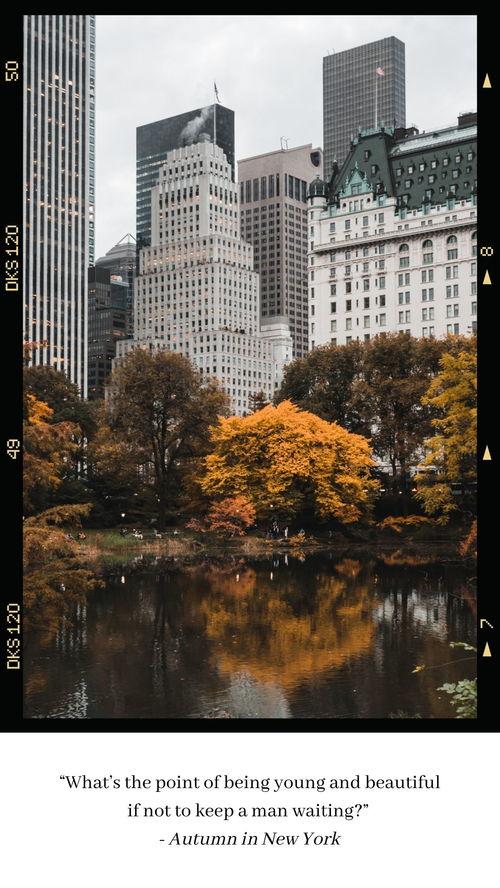 纽约的秋天 在线视频,在线视频带你领略金秋魅力